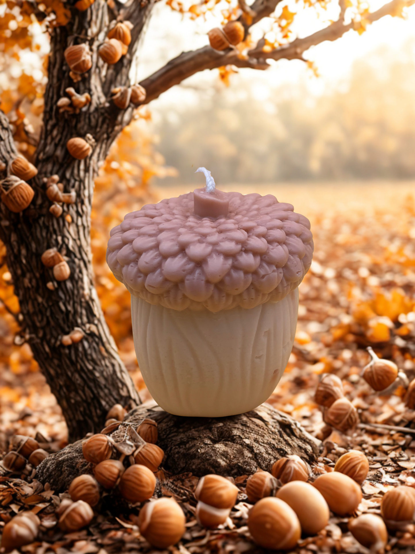 Acorn Candle